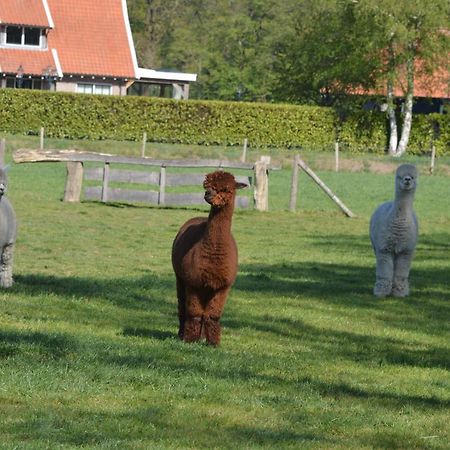 Erve Grootenhuys Deurningen Dış mekan fotoğraf